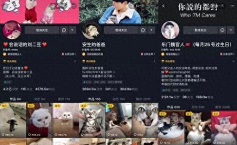 抖音赞最低价平台