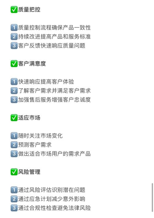 网络公司,成功之道之策略指南
