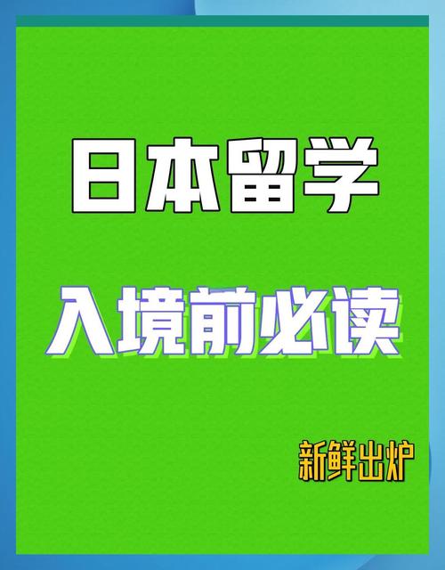 双击秒推广必看,从内容到策略的全面指南