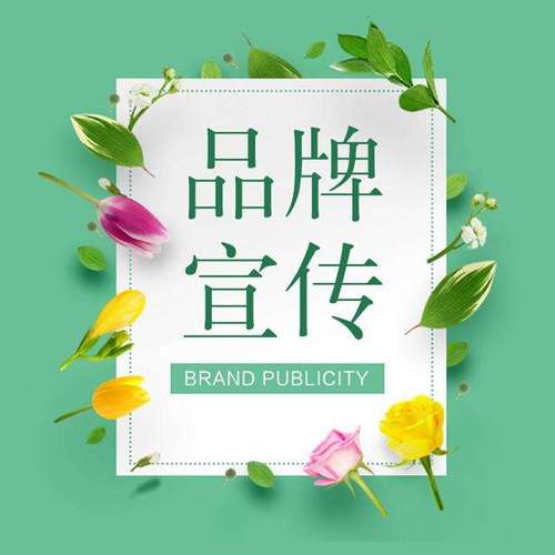 莱西网络品牌形象，构建专业网站策略