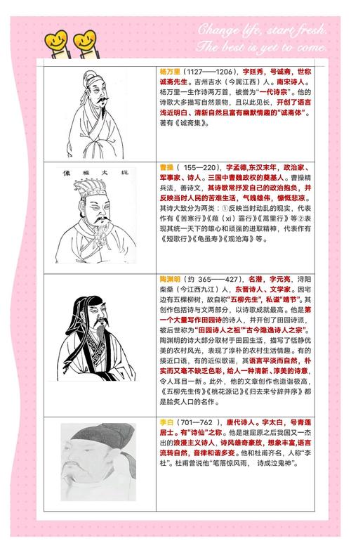 领域介绍,自媒体作者