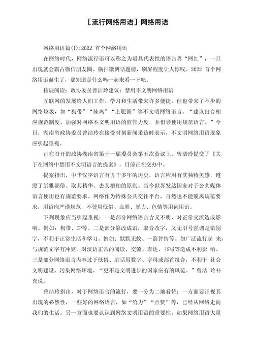 网络用语,er网络用语指南