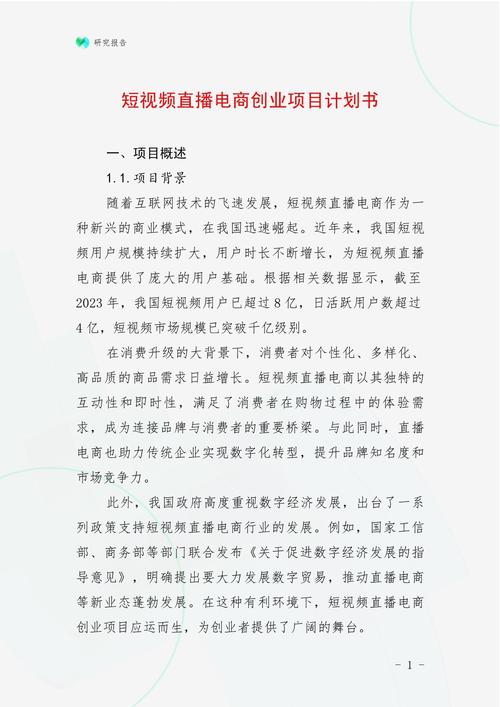 如何撰写一份专业且成功的网络公司计划书?指南与案例分析