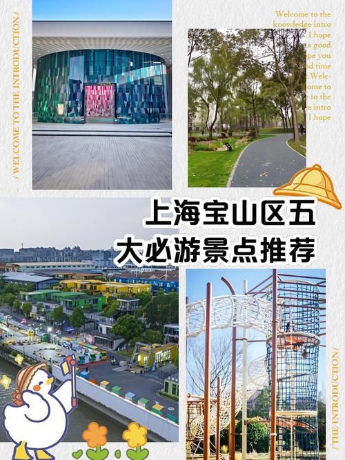 宝山区本地人必看！宝山网站建设指南来了！