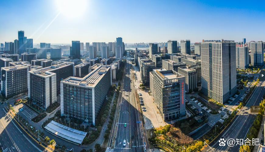 合肥科技网络公司,互联网行业中的领先者