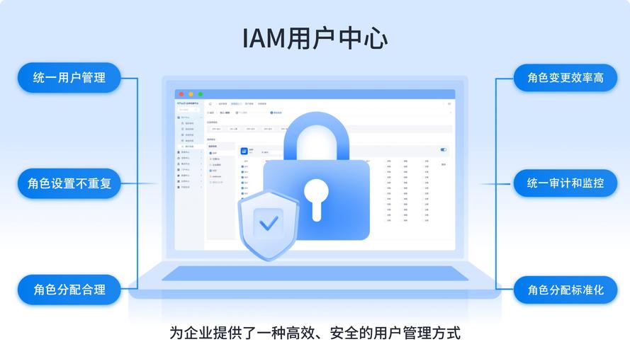 网站建设应用权限，管理与维护指南