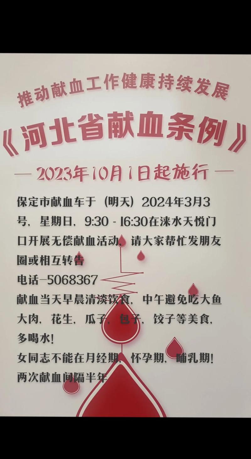 保定网络销售,错过就亏本,抓住机会赢利!
