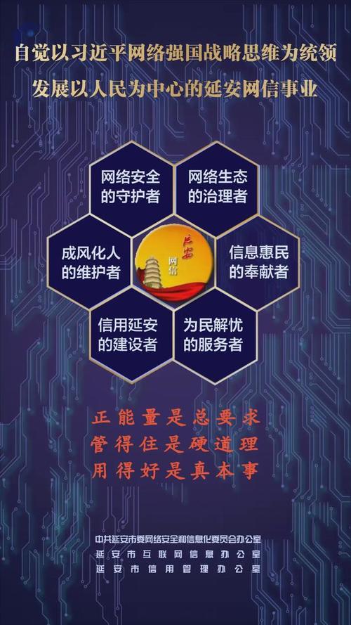 宝坻网络,数字时代的网络力量
