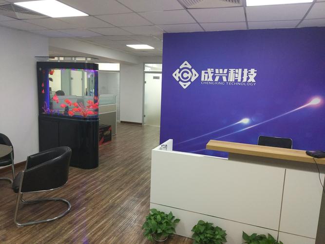 沈阳网络科技公司,行业领先者