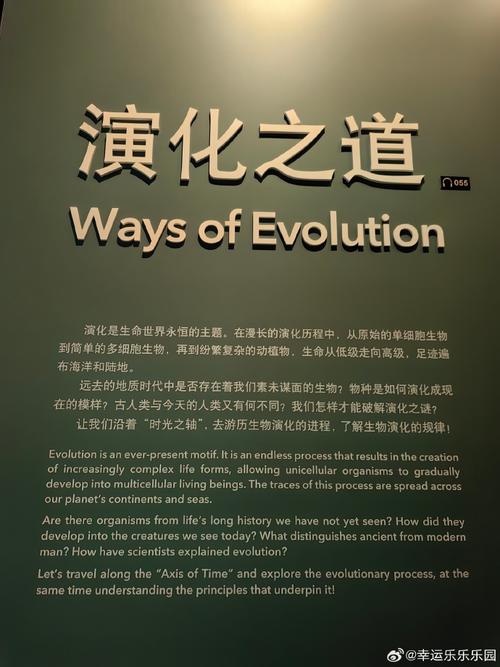 上海部道网站建设指南