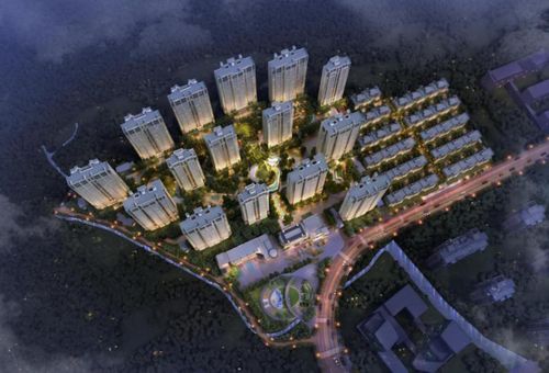 瑞安建设，从设计到优化，你值得成为！
