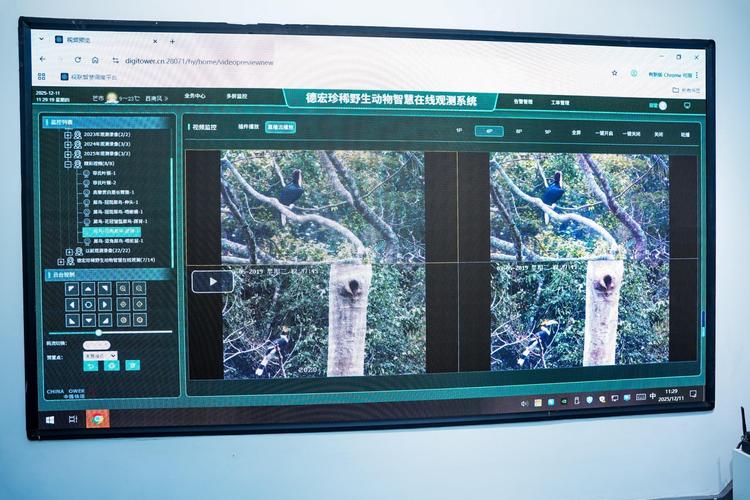 南宁站建设指南,打造专业、高效的 digital presence