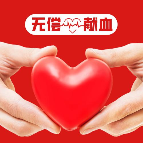 福州平凡网络,流淌在城市血液的平凡 Networks