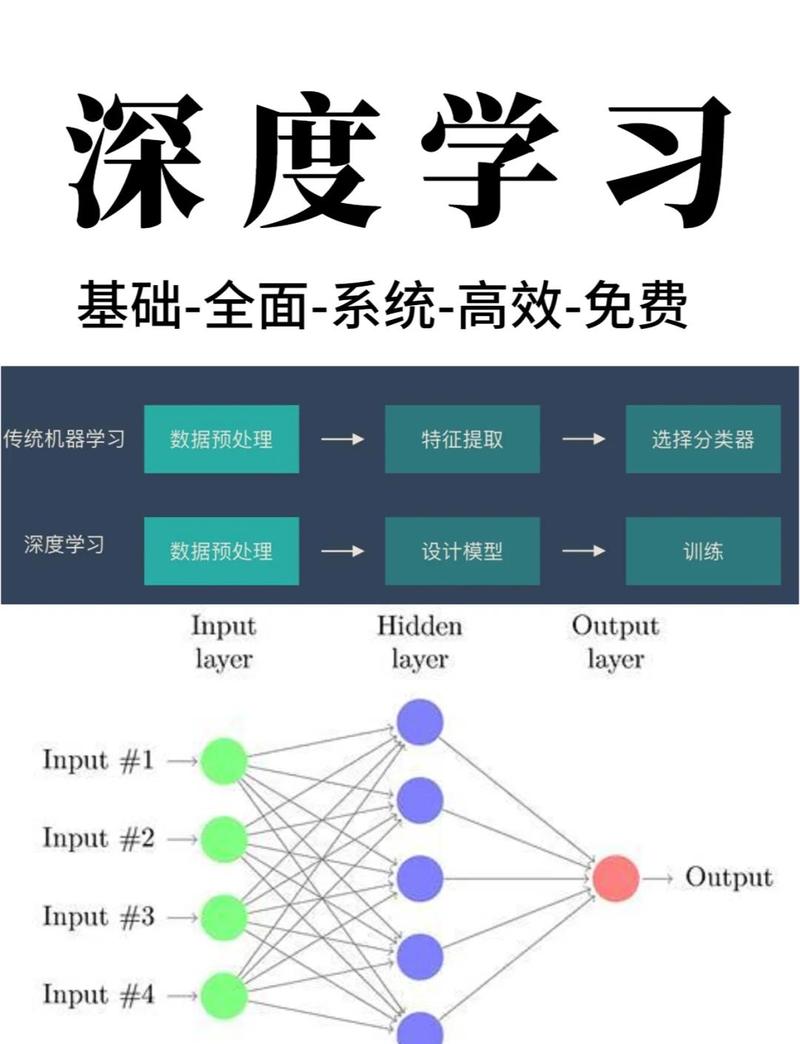如何高效掌握网络技能?从基础到进阶指南
