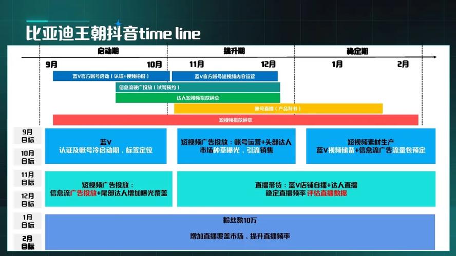 如何在抖音自助业务下单平台实现高效运营,从注册到运营的全生命周期管理
