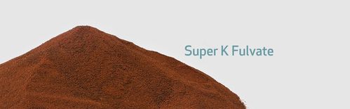 K-Super High Value Business和K-Super High Value Services，你的抖音买赞和浏览量高价值模型