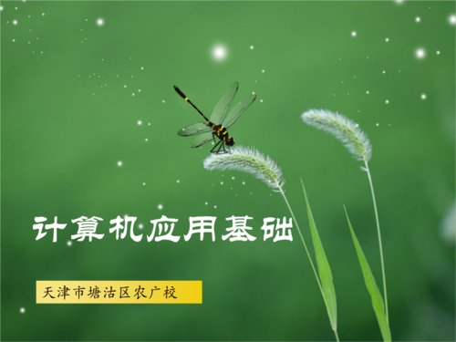 1.从太平阳电脑网开启阅读之旅