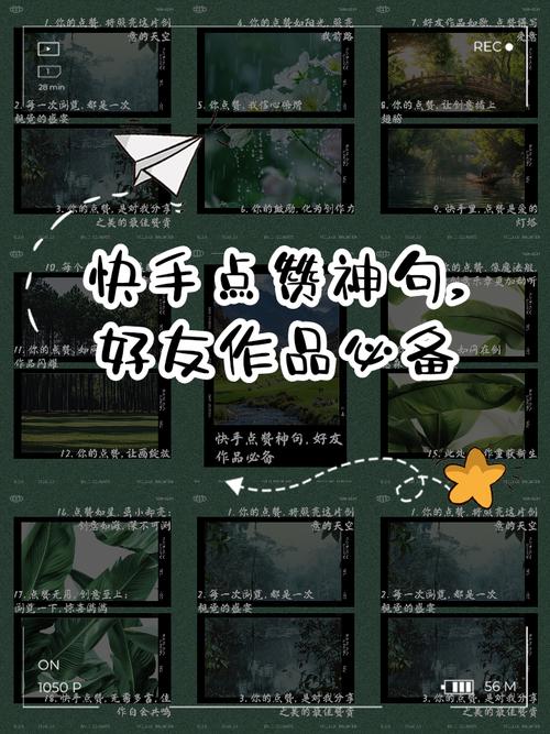 播放器与点赞列表的高效管理，秒播放快手的最佳实践