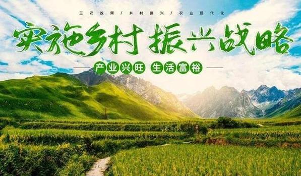 沧县，乡村振兴中的创新实践之路