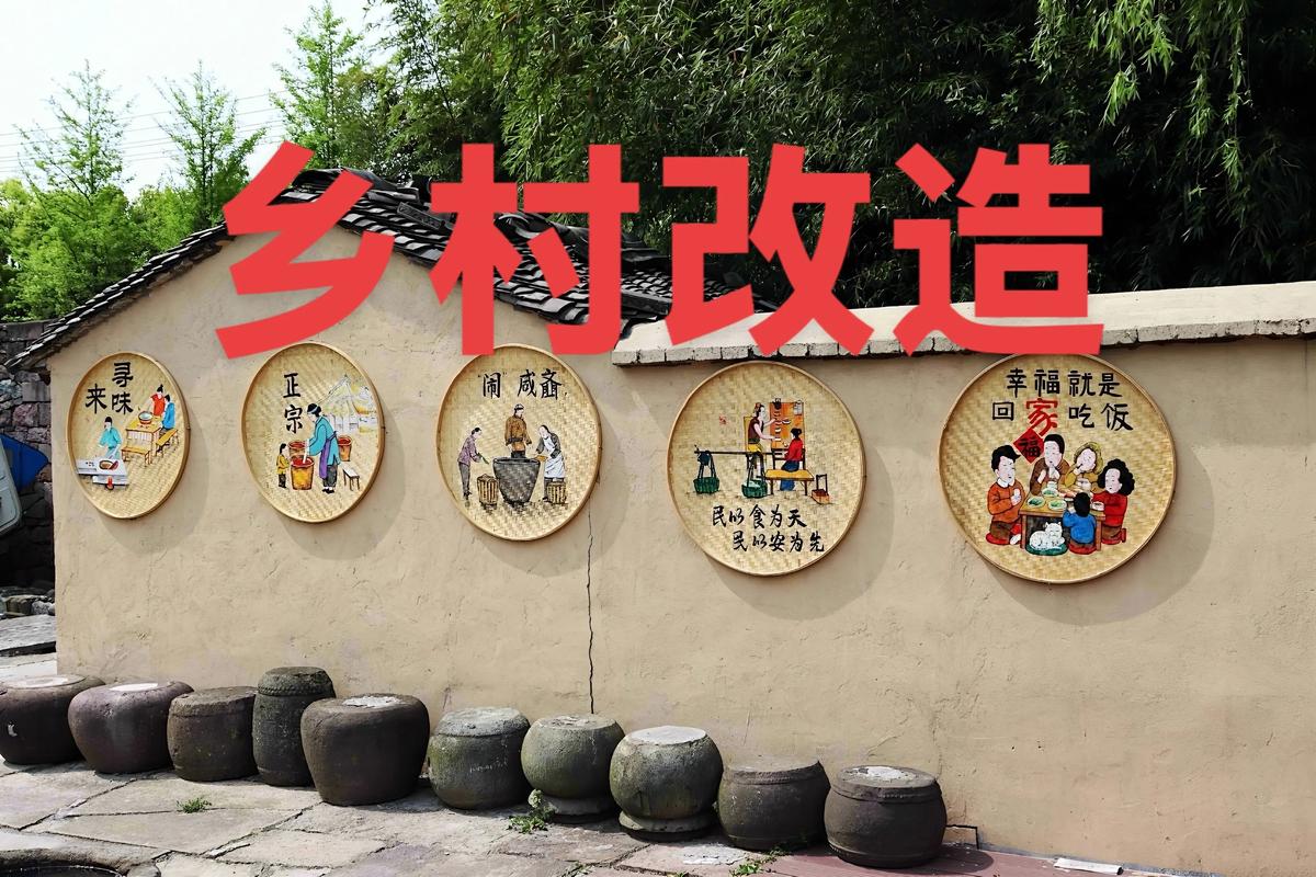 沧县,乡村振兴中的创新实践之路
