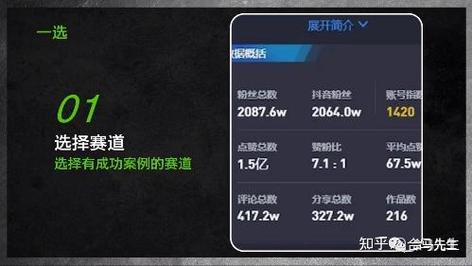 抖音举报代刷平台审核流程详解，你必须知道的真相