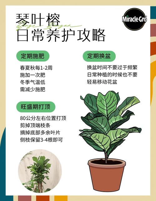 让你的电脑宝贝植物顺利成长!铁拳3电脑版的养护指南