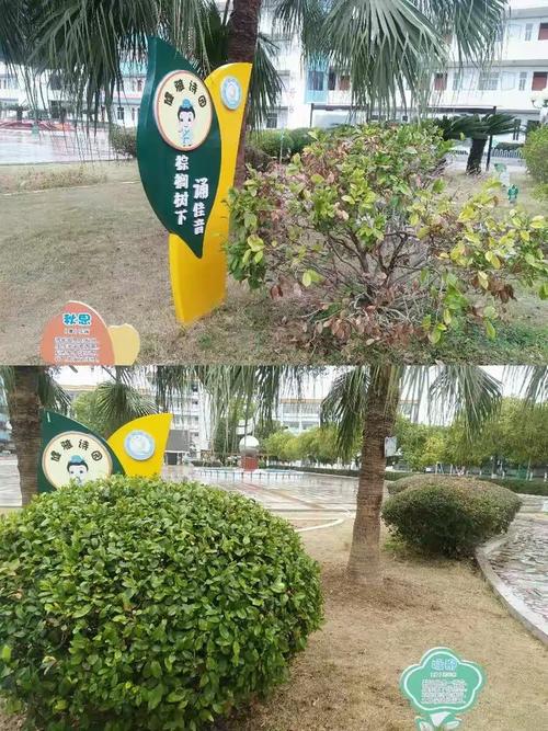 于都网络推广指南