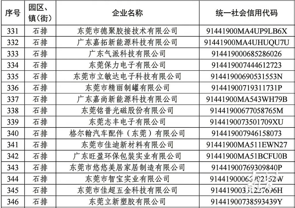 东莞石排网站开发与优化指南
