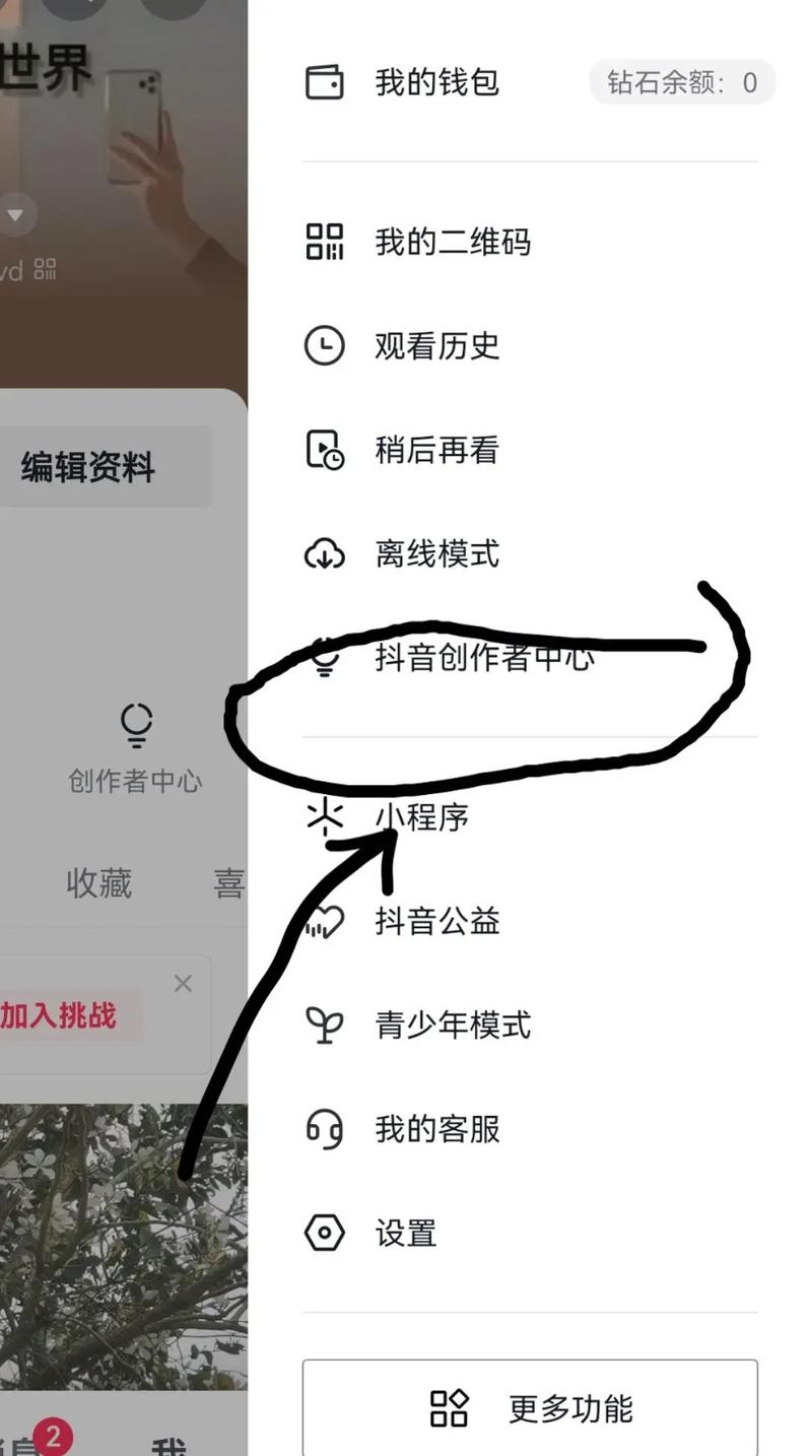 秒刷快手粉丝软件,如何快速获取粉丝!