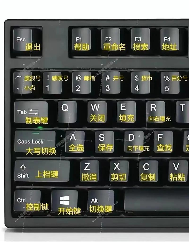 让键盘成为你的工作伙伴,从键盘布局到高效使用,这才是键盘优化的基础