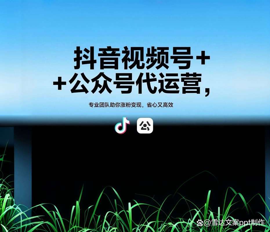 如何高效利用抖音的代刷平台?