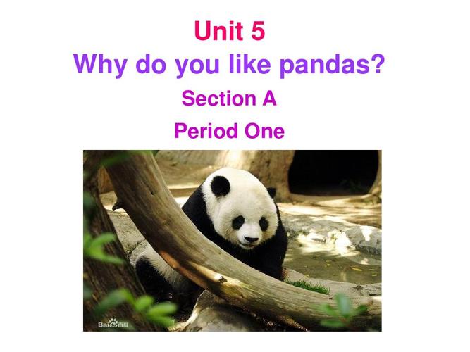 平板电脑的综合选择,why you need one