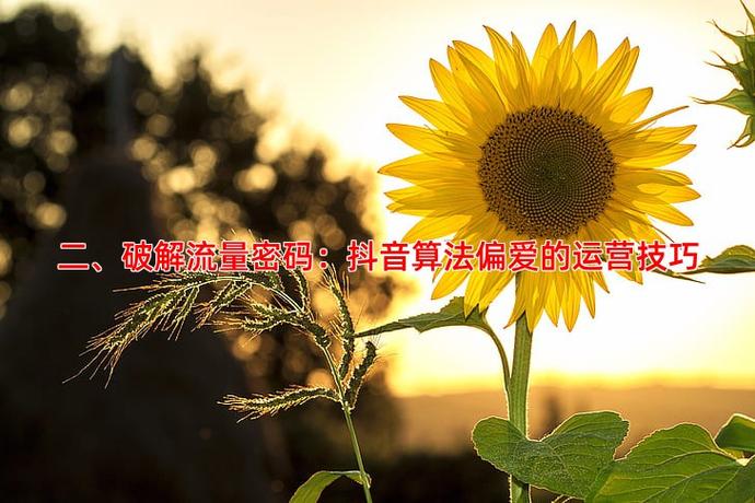 抖音双击赞+12秒播放 微信ks业务代价 如何提升品牌曝光?这些建议!