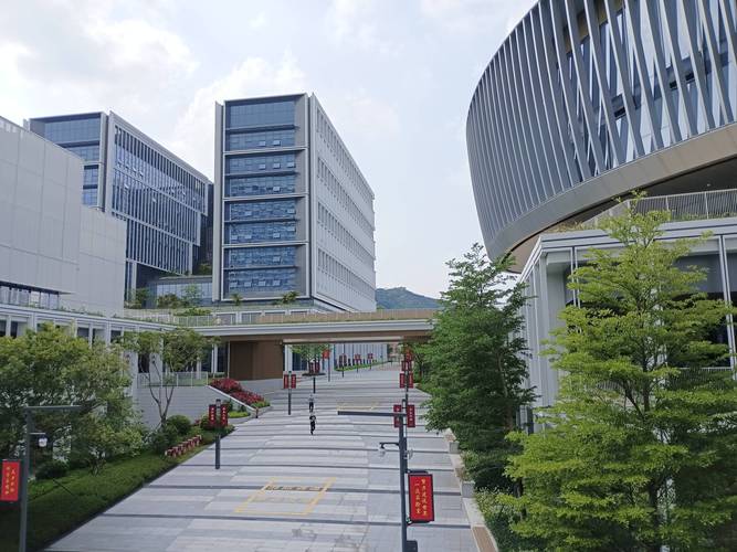 深圳光明新区网络发展新机遇