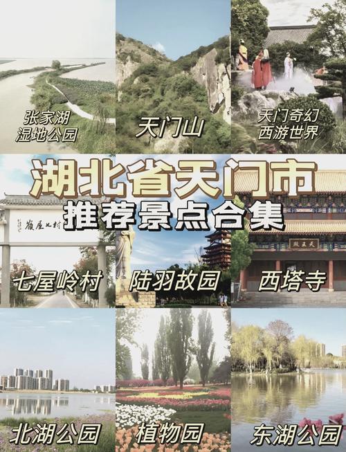 天门网站推广指南与案例分享