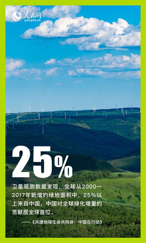 一、网站结构,让数字世界更清晰