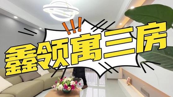 领之鑫网络科技,选择一个适合自己的解决方案