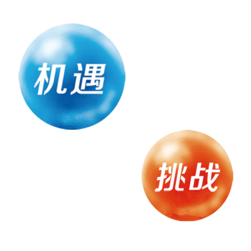 庆阳网络推广,机遇与挑战