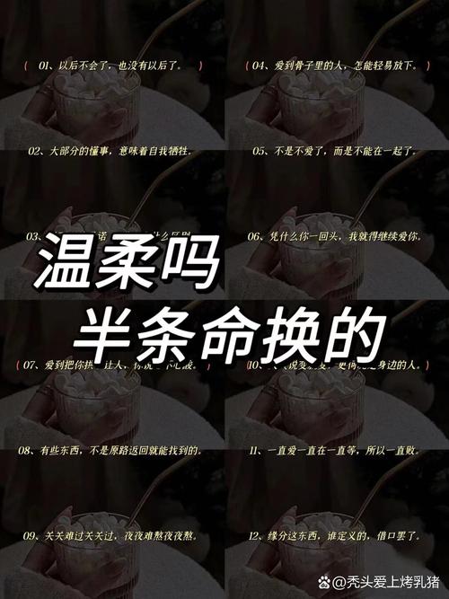 什么是代名词？代名词背后的故事，快手代秒、ks赞墨言代网粉背后的营销策略