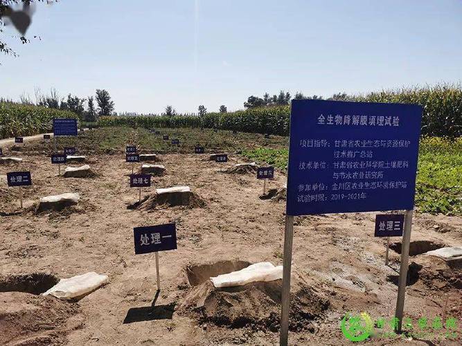 金昌外包网络推广指南