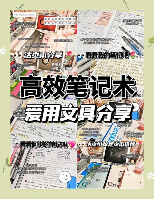 女生必看,用笔记本电脑高效学习的实用技巧