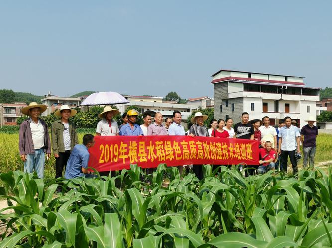 横县专业网络推广,助力 Your 好像的未来
