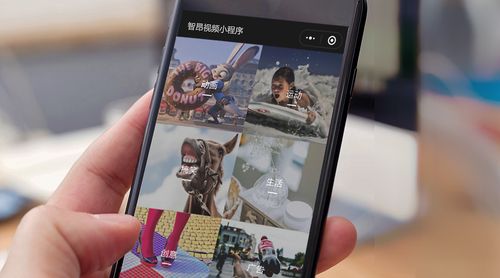 成就自助平台,下载与下单,轻松开启你的短视频之旅