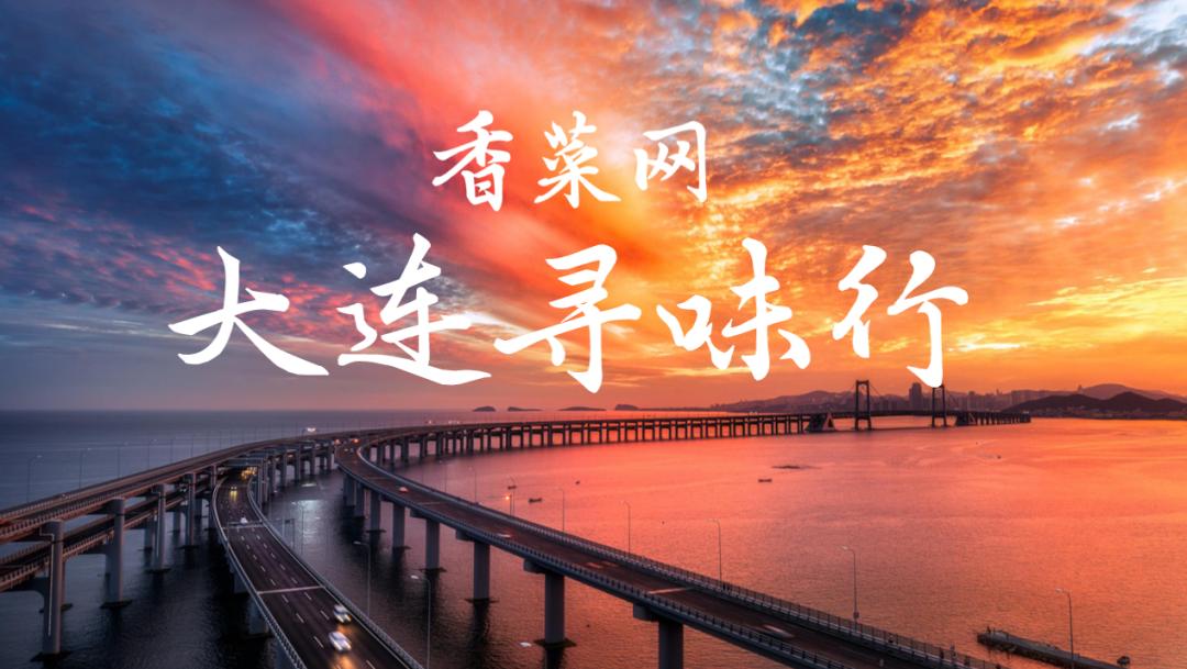 大连网络平台,开启你的网络新之旅