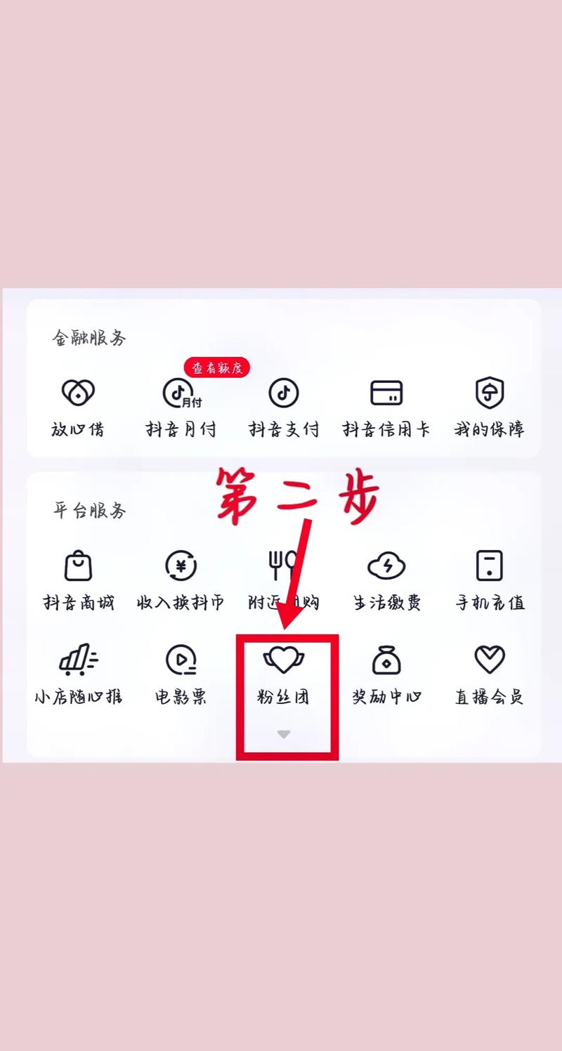 抖音刷豆免费刷改豆,如何高效提升粉丝数量?这1步告诉你!