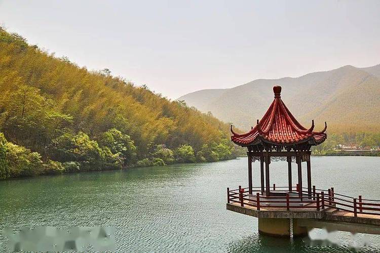 灵溪,技术文章的完美栖居地