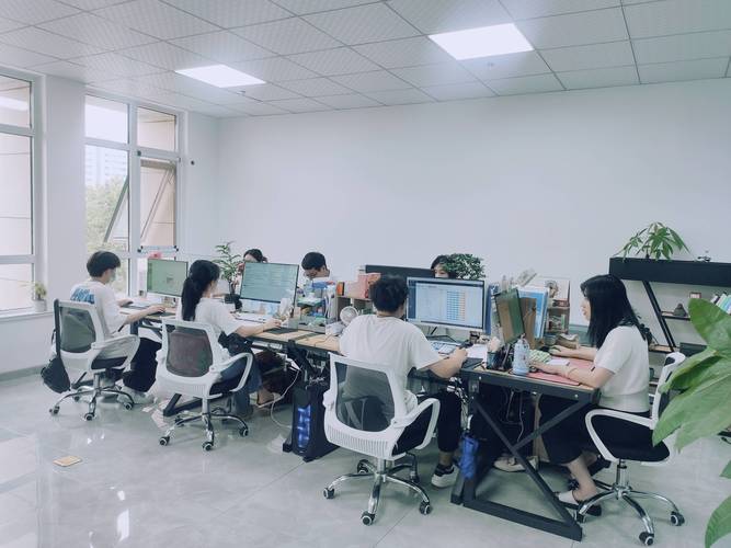 青岛网络公司那家好
