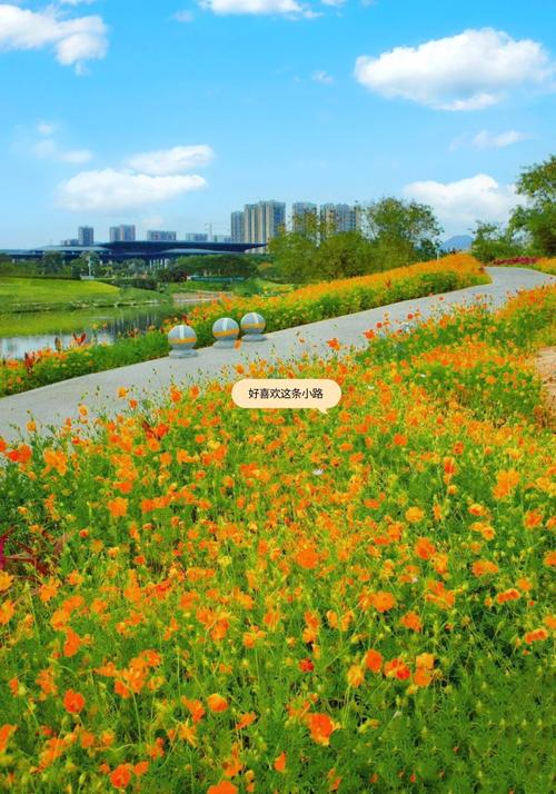 坪山旅游，探索之旅中的美好风景