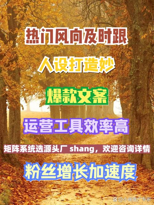 网络代营销,让流量从你手中到你的生活