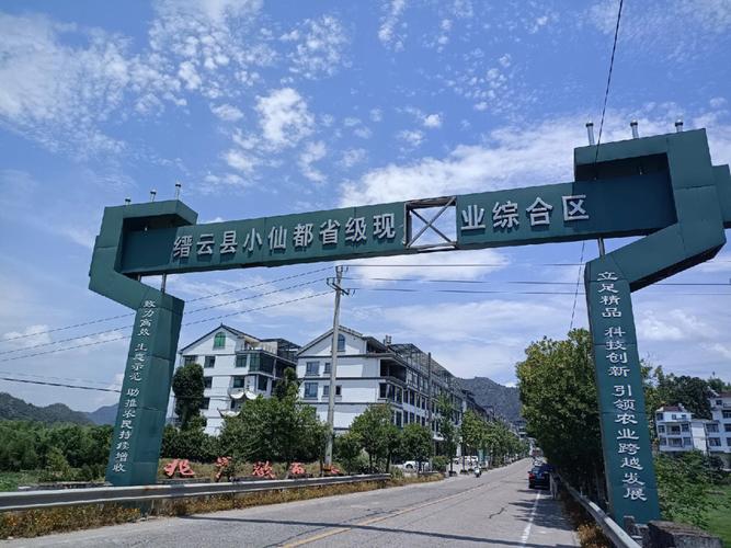 缙云县网站建设指南,让 local 市场更专业